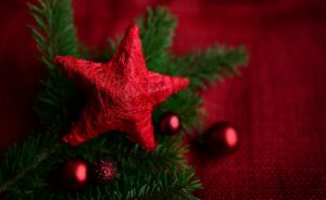 Lee más sobre el artículo Decálogo para una Navidad responsable